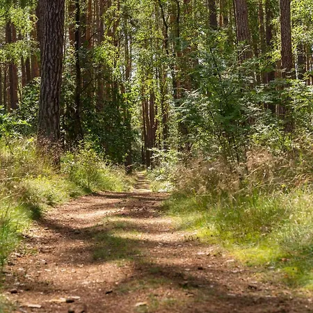 Pommernhaus Vorsee Am Kiefernwald Ahlbeck (Vorpommern-Greifswald)